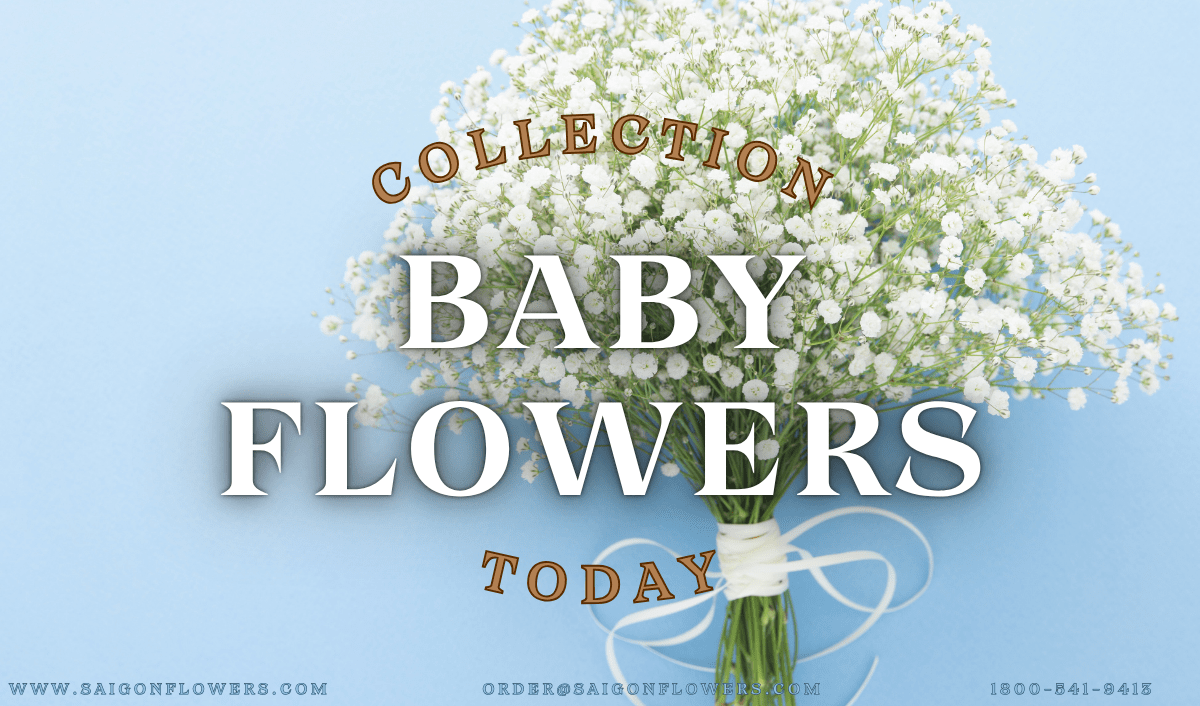 Flowers Delivery Nam Dinh