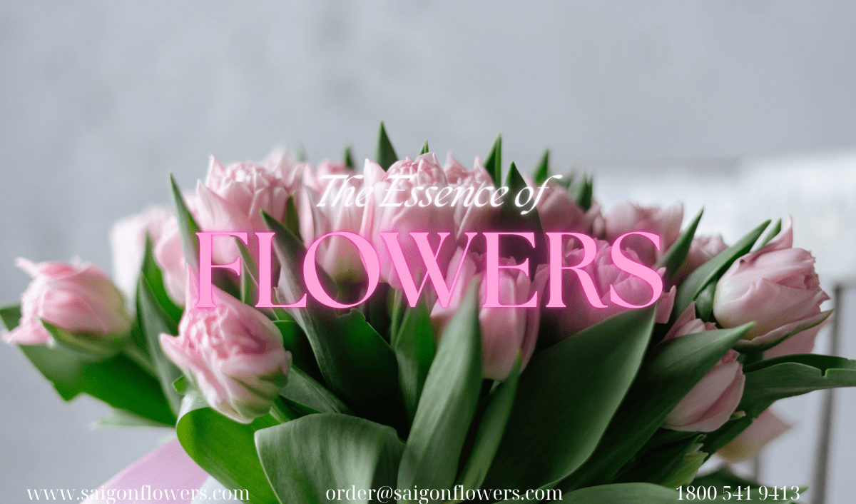 Flowers Delivery Soc Trang