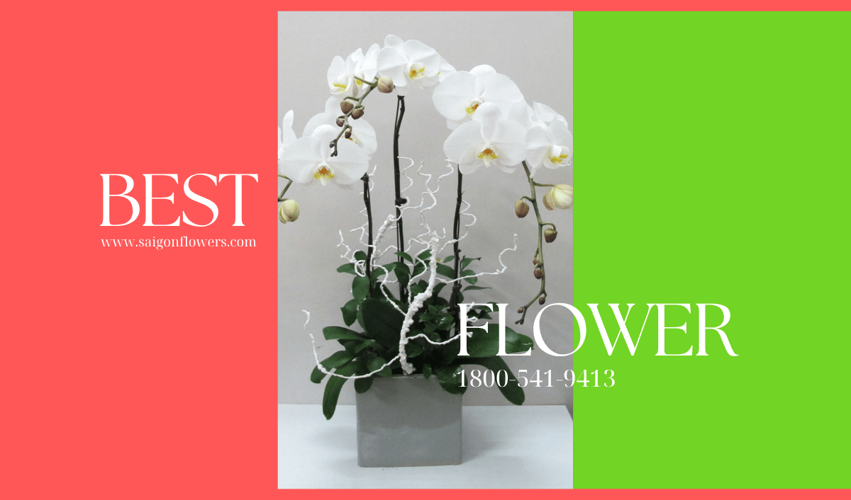 Flowers Delivery Tien Giang