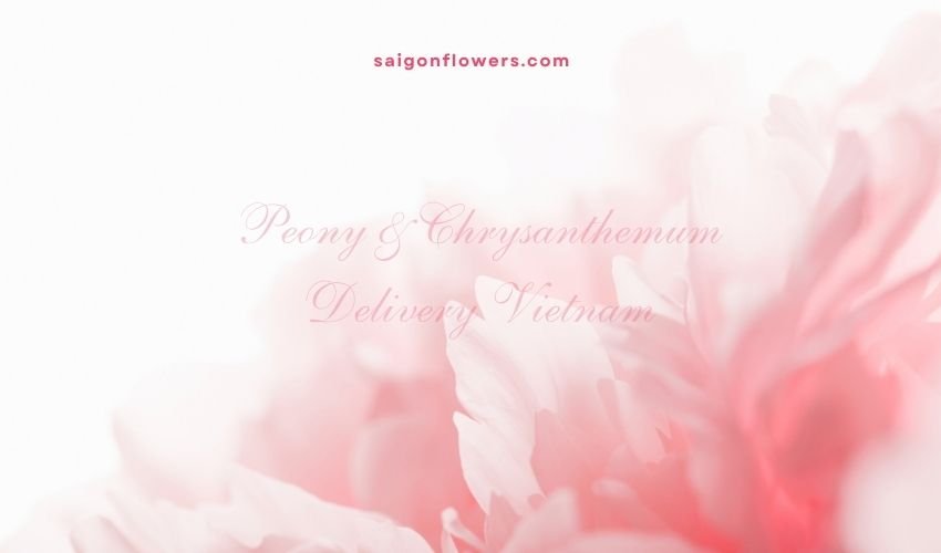 Peony & Chrysanthemum Delivery Vietnam – Symbol of Prosperity