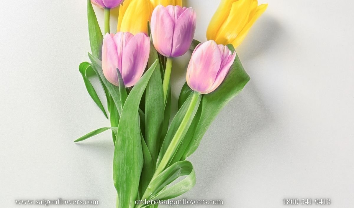 Send Flowers To Ha Noi