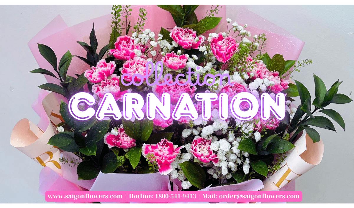 Send Flowers to Ha Tinh