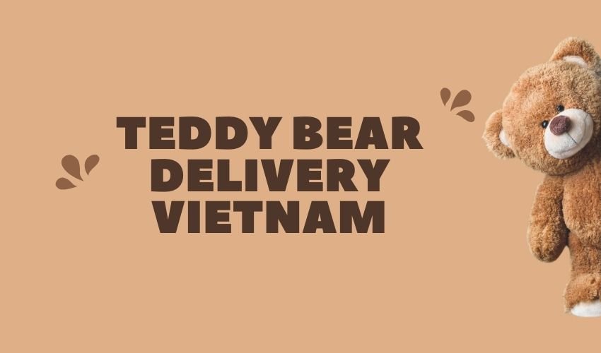 Teddy Bear Delivery Vietnam