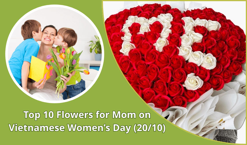 Top 10 Flowers for Mom on Vietnamese Women’s Day