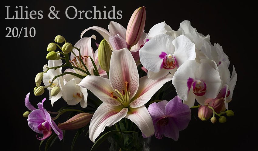 Unique Women’s Day Flowers Vietnam (20/10) – Roses, Lilies & Orchids