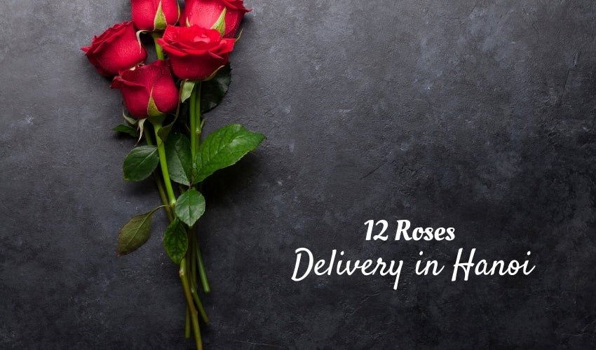 12 Roses Delivery in Hanoi