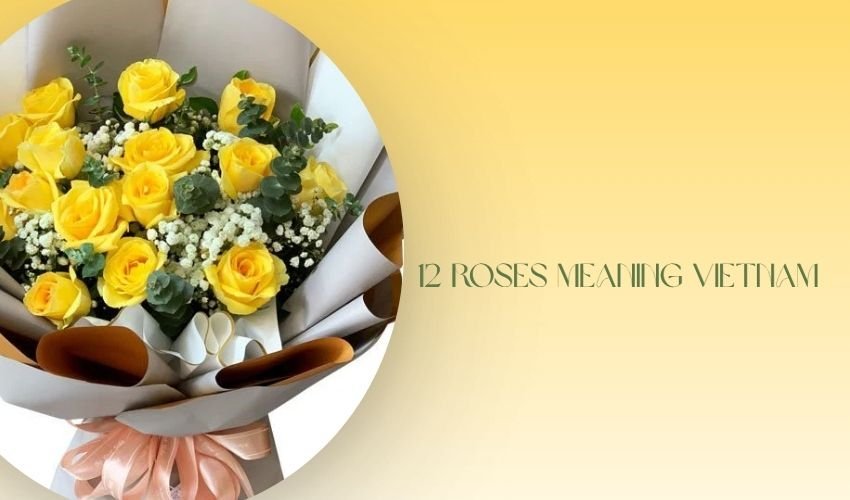 12 Roses Meaning Vietnam