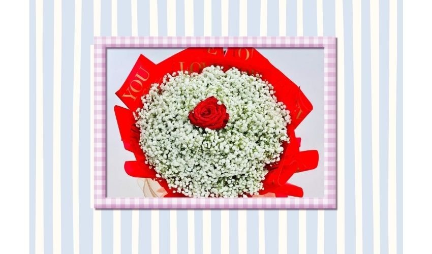 1 Rose Meaning: Simple Love and Romantic Symbolism