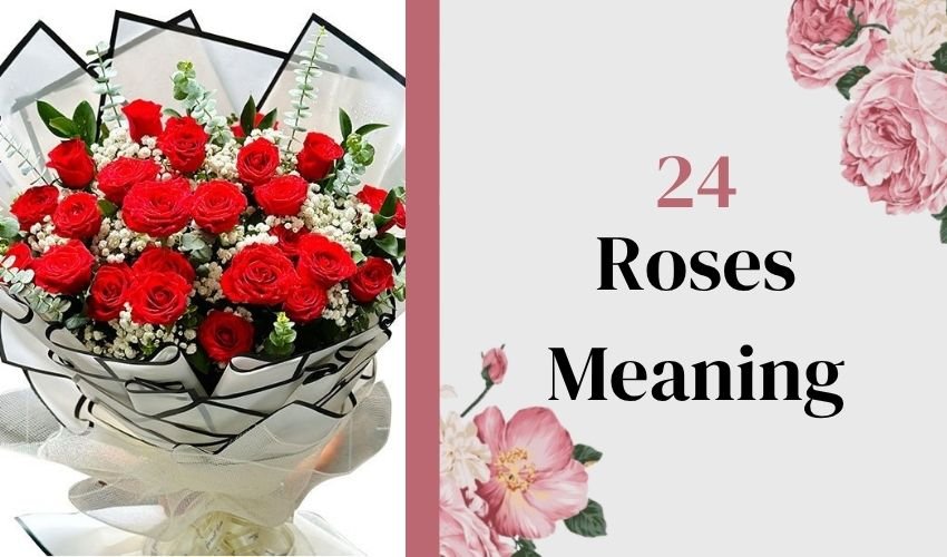 24 Roses Meaning: Thinking of You Every Hour