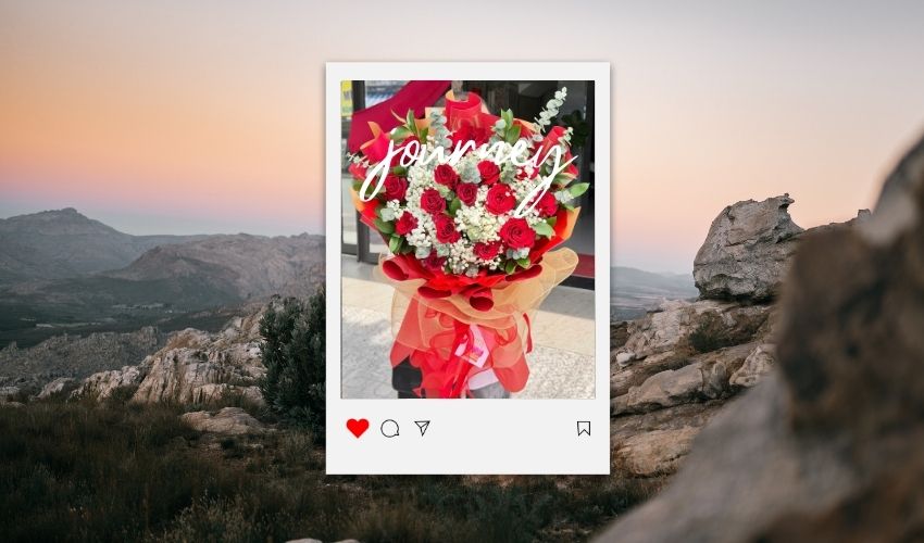 33 Roses Meaning: Deep Affection and Lasting Devotion