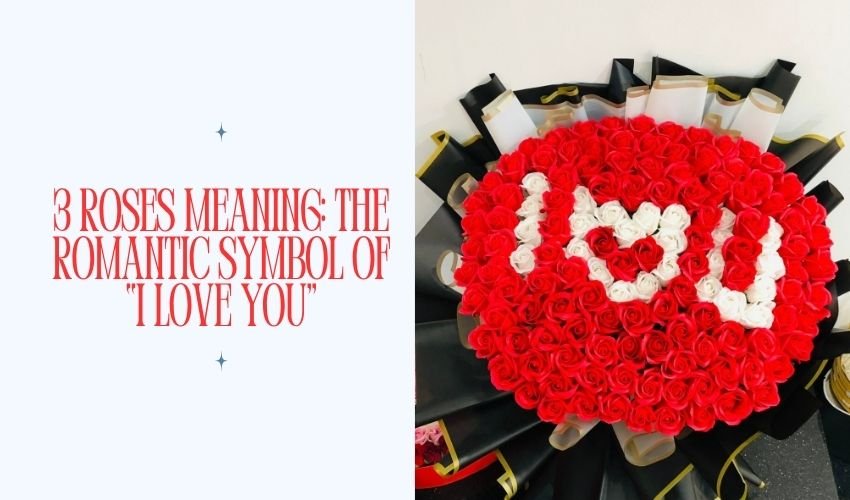 3 Roses Meaning: The Romantic Symbol of “I Love You”