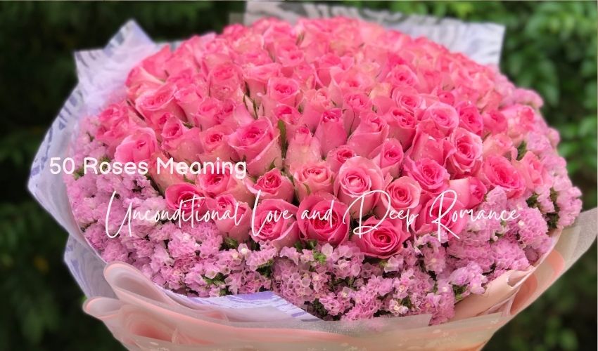50 Roses Meaning: Unconditional Love and Deep Romance