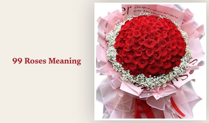 99 Roses Meaning: Eternal Love and Forever Commitment