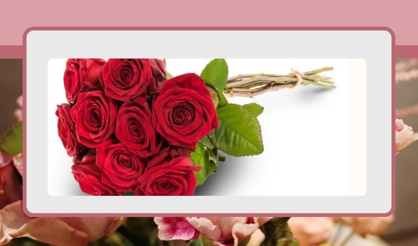 9 Roses Meaning: Eternal Love and Lasting Romance