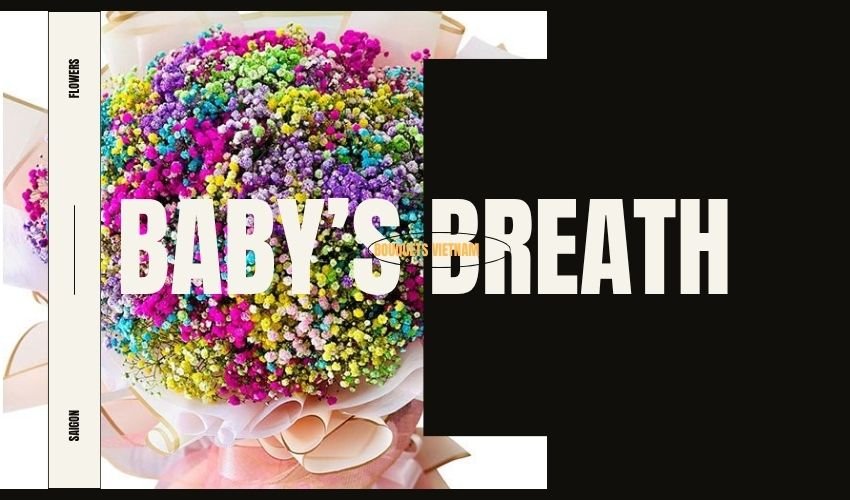 Baby’s Breath Bouquets Vietnam