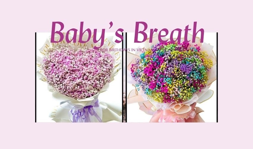 Baby’s Breath for Birthdays in Vietnam
