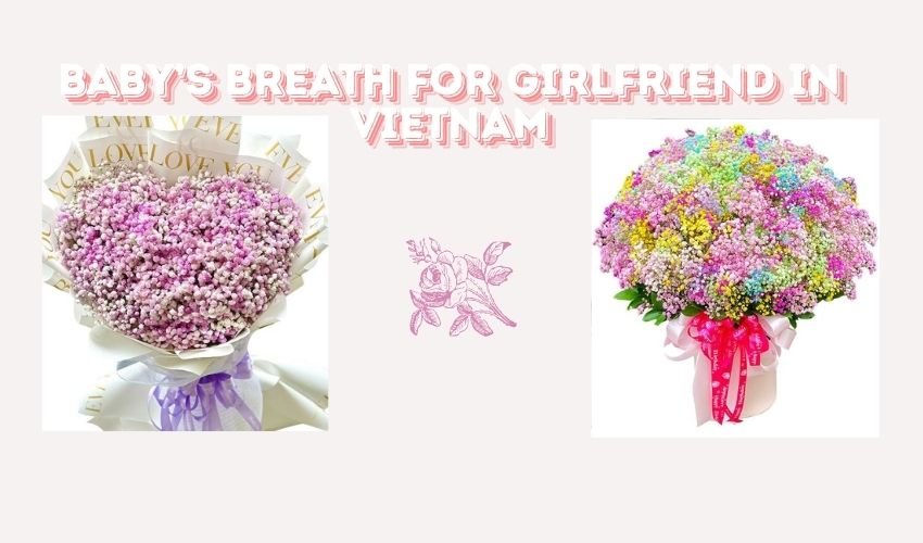 Baby’s Breath for Girlfriend in Vietnam