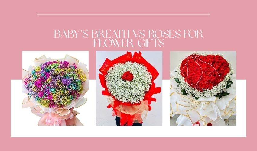 Baby’s Breath vs Roses for Flower Gifts