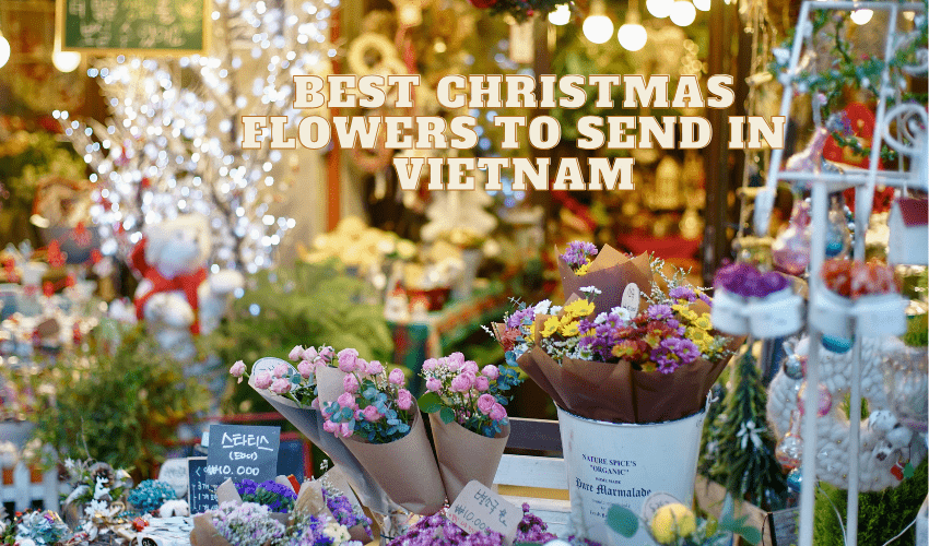 Best Christmas Flowers to Send in Vietnam