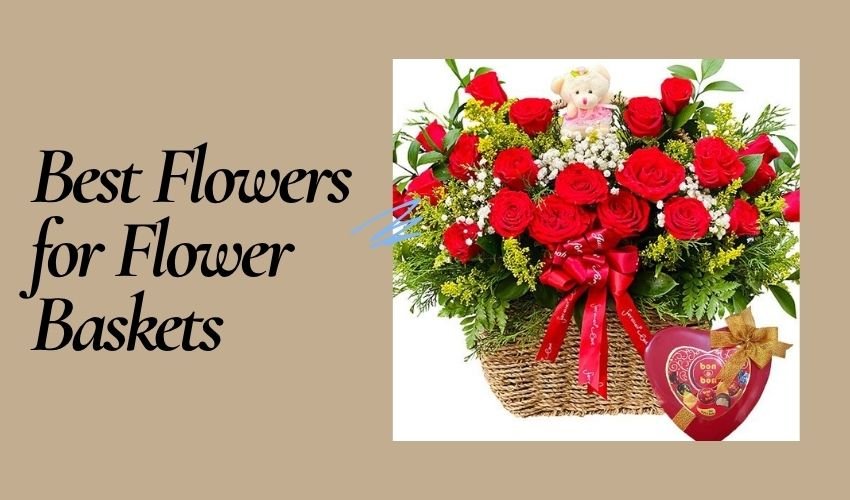 Best Flowers for Flower Baskets