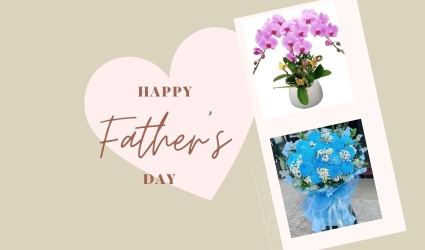 Best Plants for Father’s Day Vietnam