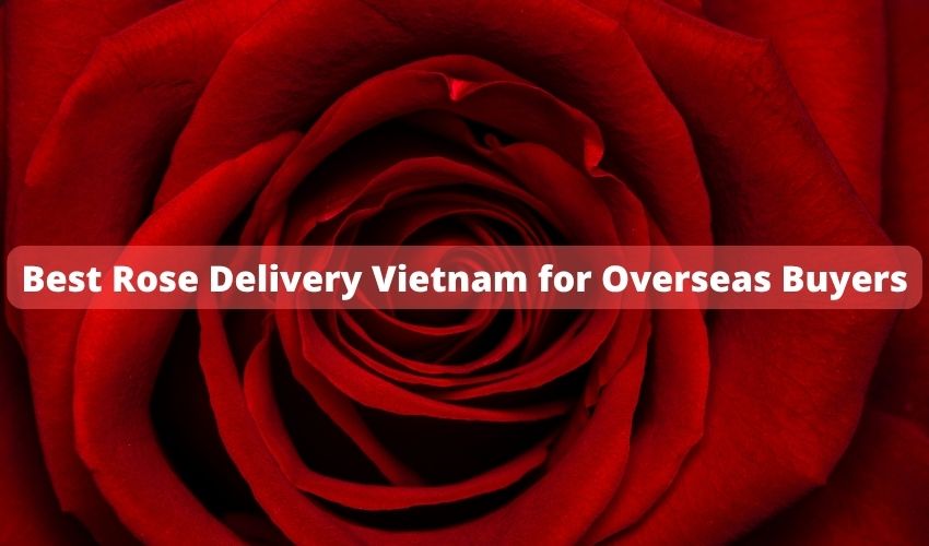 Best Rose Delivery Vietnam for Overseas Buyers