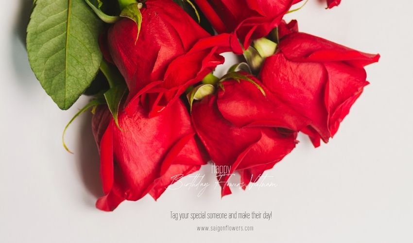 Birthday Flowers Vietnam – Celebrate Every Age with Joy