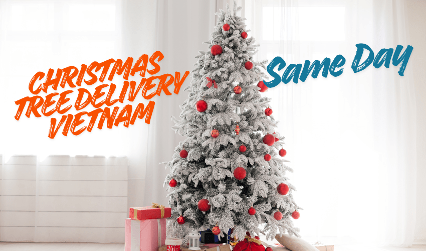 Christmas Tree Delivery Vietnam – Same Day