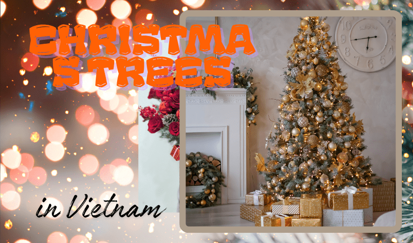 Christmas Trees in Vietnam: Festive Décor