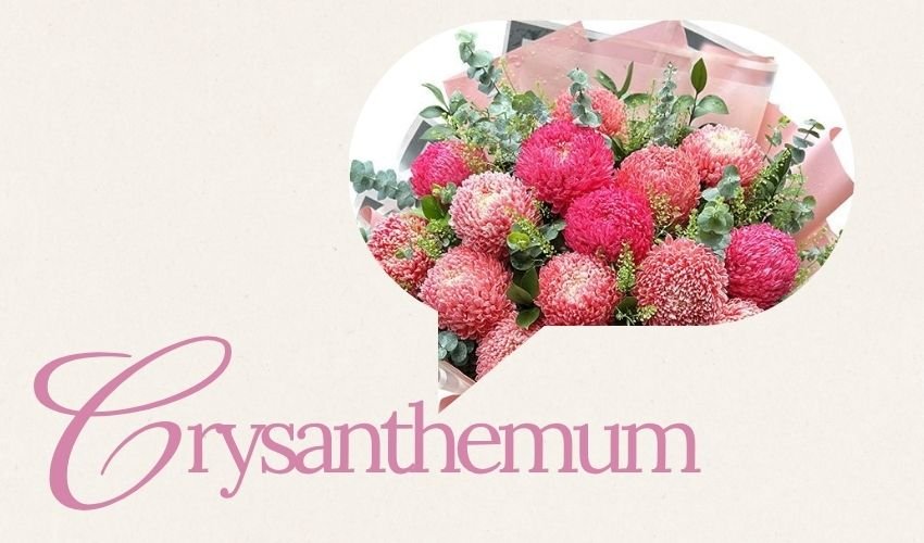 Chrysanthemum Flower Baskets in Vietnam