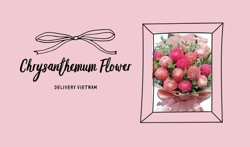 Chrysanthemum Flower Delivery Vietnam