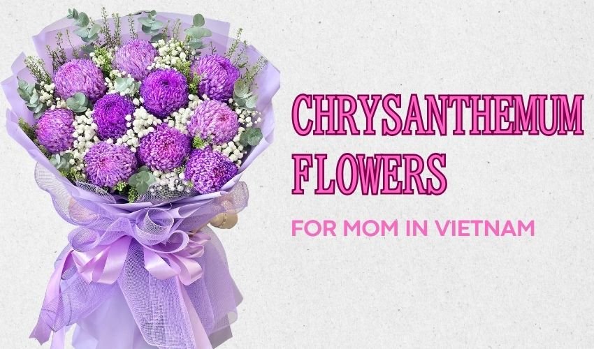 Chrysanthemum Flowers for Mom in Vietnam