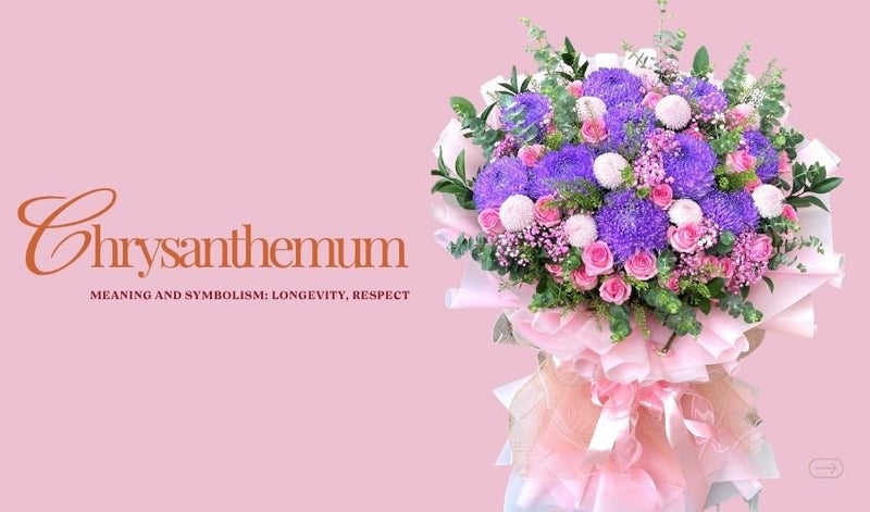 Chrysanthemum Meaning and Symbolism: Longevity, Respect