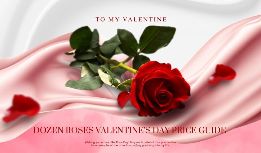 Dozen Roses Valentine’s Day Price Guide