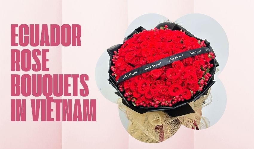 Ecuador Rose Bouquets in Vietnam