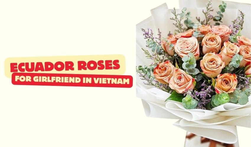 Ecuador Roses for Girlfriend in Vietnam