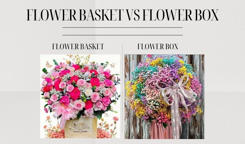 Flower Basket vs Flower Box