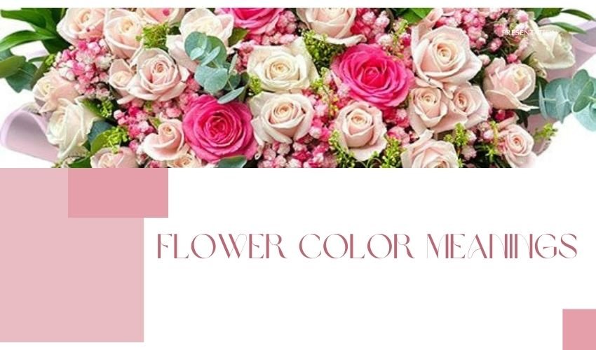 Flower Color Meanings