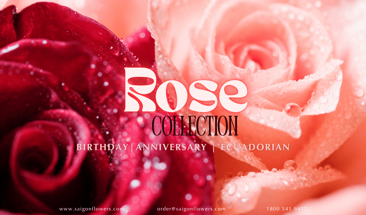 Flowers Delivery Bac Lieu