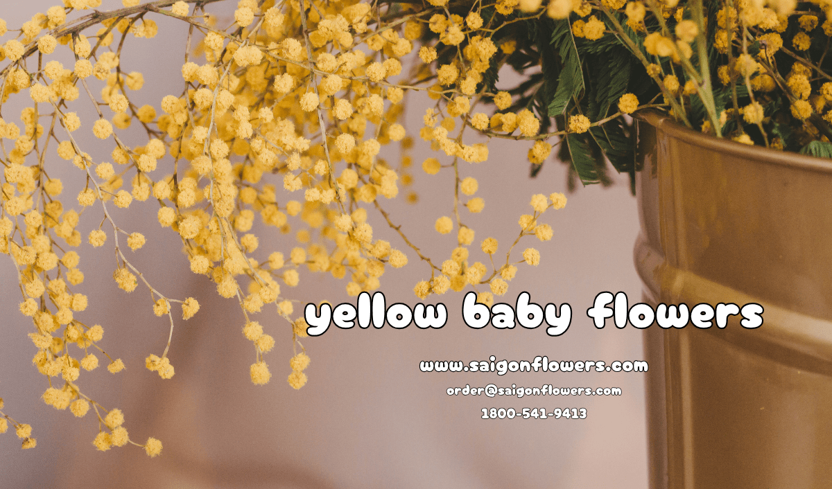 Flowers Delivery Sai Gon