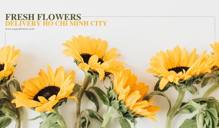Fresh Flowers Delivery Ho Chi Minh City