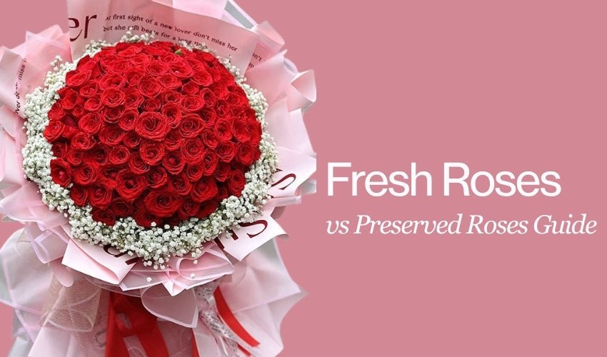 Fresh Roses vs Preserved Roses Guide