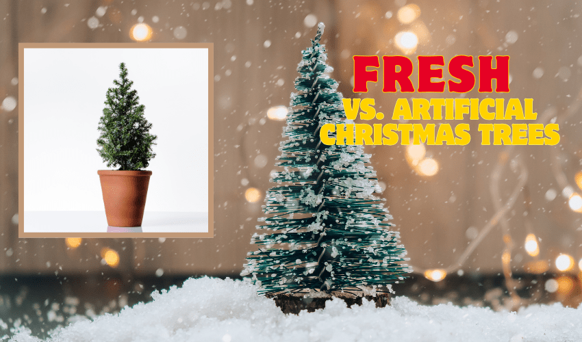Fresh vs. Artificial Christmas Trees