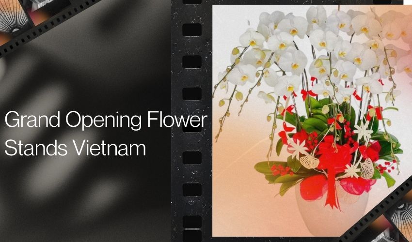 Grand Opening Flower Stands Vietnam