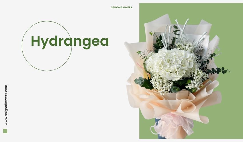 Happy Women’s Day 20/10