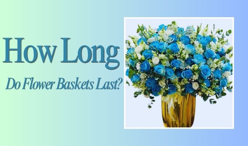 How Long Do Flower Baskets Last?