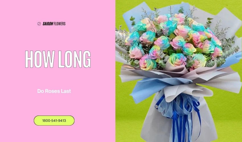 How Long Do Roses Last