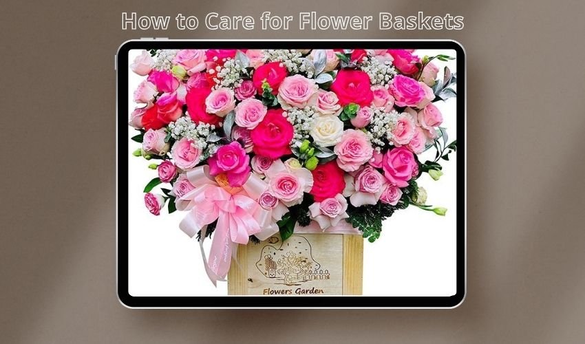 How to Care for Flower Baskets