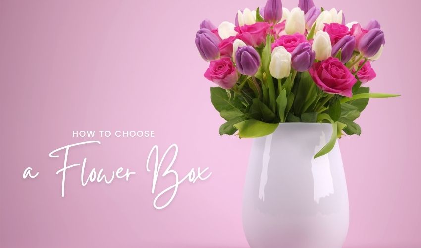 How to Choose a Flower Box