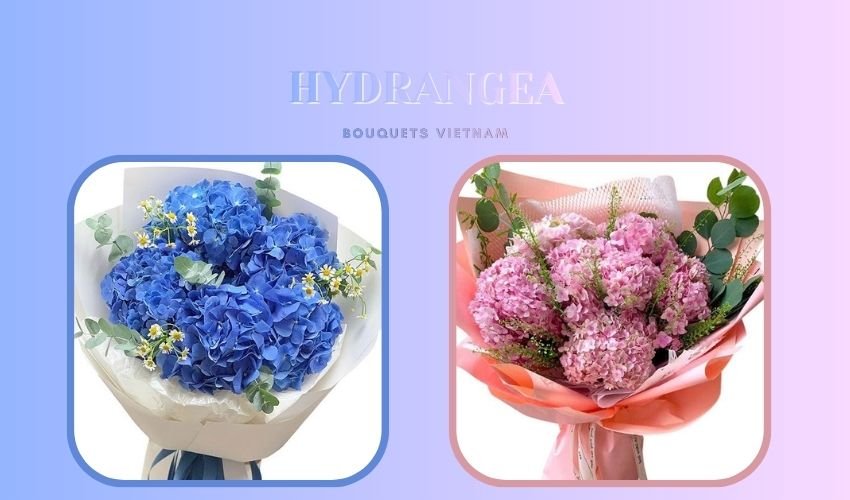 Hydrangea Bouquets Vietnam